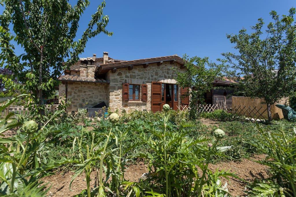 Bed and Breakfast Il Belvederino Brufa Zewnętrze zdjęcie